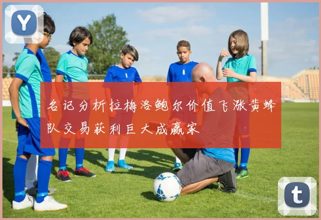 名记分析拉梅洛鲍尔价值飞涨黄蜂队交易获利巨大成赢家